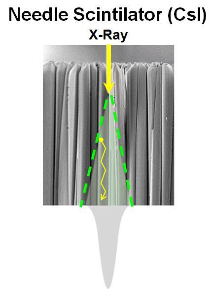 原来，影响牙科CBCT成像的关键在这里…