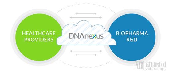 E轮融资高达5800万美元，药明康德被投企业DNAnexus正在打造基因数据战舰