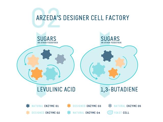 蛋白质魔术师：为多个行业打开新市场的蛋白质工程公司