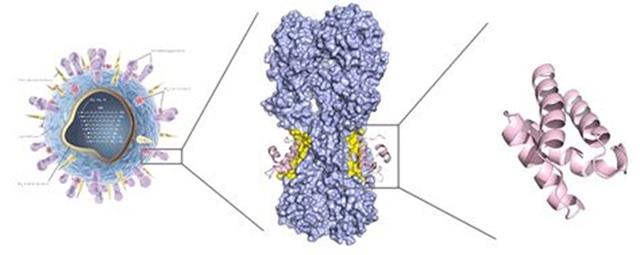 蛋白质魔术师：为多个行业打开新市场的蛋白质工程公司