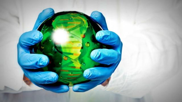 蛋白质魔术师：为多个行业打开新市场的蛋白质工程公司