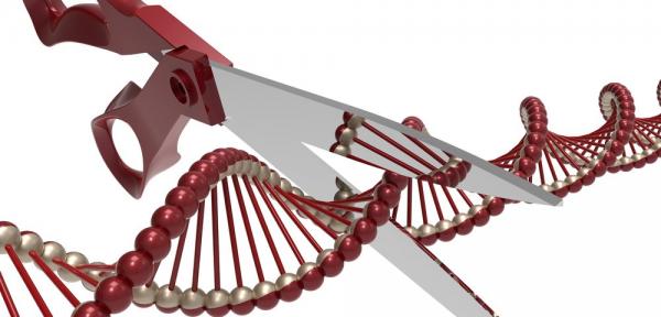 深度 | 从基因编辑到人工智能，人类“有所为，有所不为”的界限到底在哪？