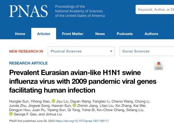 学者发现新型重组猪流感病毒：具备在人群中流行潜力