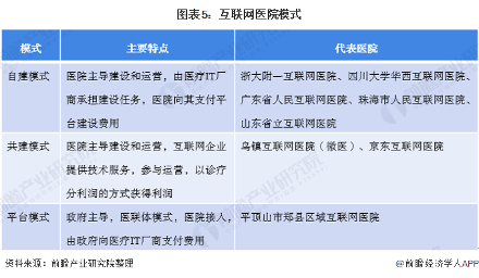 图表5：互联网医院模式