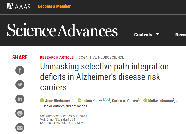 患阿尔茨海默病风险高的人有导航缺陷