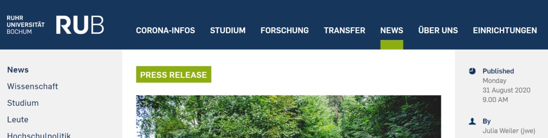 患阿尔茨海默病风险高的人有导航缺陷