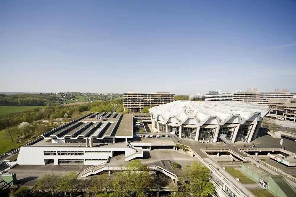 患阿尔茨海默病风险高的人有导航缺陷