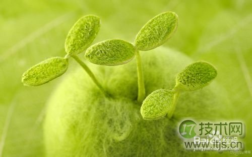 Windows 7设置窗口颜色为护眼色