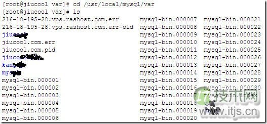 详细介绍mysql-bin.000001文件的来源及处理方法