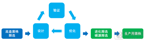 图1_副本.png