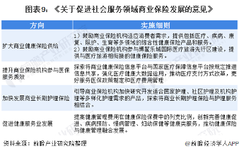 图表9:《关于促进社会服务领域商业保险发展的意见》