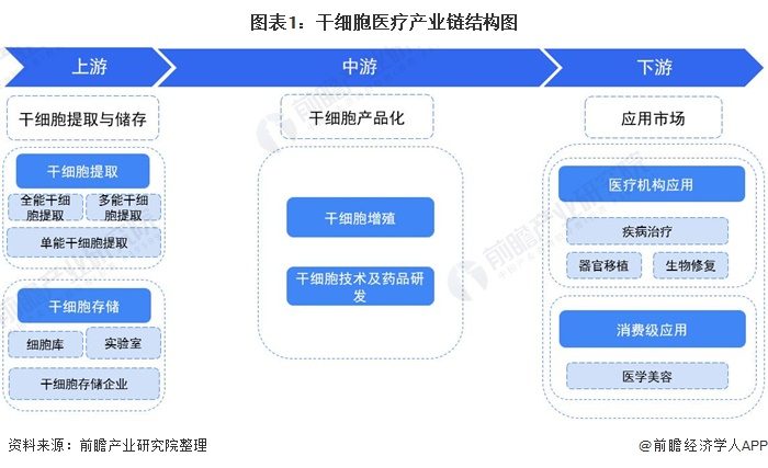 图表1：干细胞医疗产业链结构图