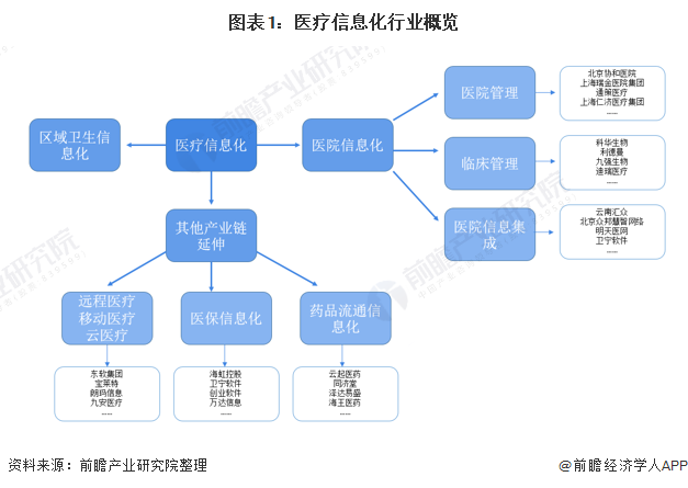图表1：医疗信息化行业概览