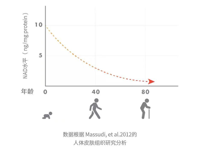 Tru Niagen樂加欣安全有效提升NAD水平,助力中国健康老龄化 Tru Niagen樂加欣安全有效提升NAD水平,助力中国健康老龄化