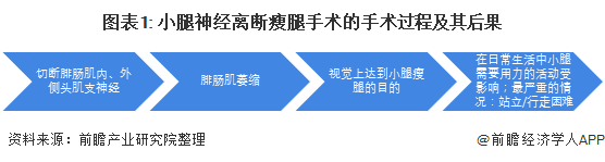 图表1: 小腿神经离断瘦腿手术的手术过程及其后果