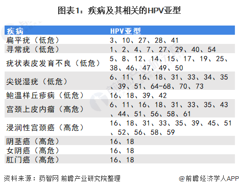 图表1：疾病及其相关的HPV亚型
