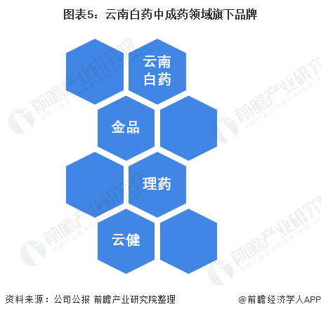 图表5:云南白药中成药领域旗下品牌