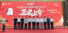 全球首创：佰仁医疗发布BalMonoc流出道单瓣补片，填补小儿生物瓣治疗空白