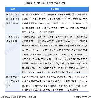 图表6：中国中药的中药饮片重点企业
