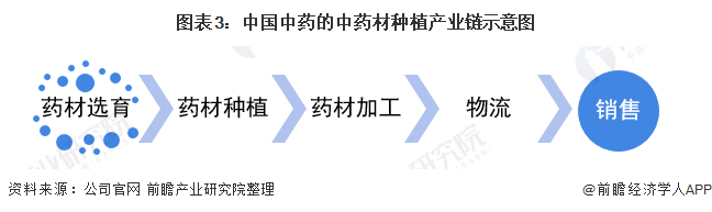 图表3:中国中药的中药材种植产业链示意图
