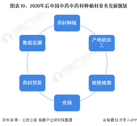 图表10:2020年后中国中药中药材种植材业务发展规划