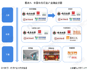 图表3：中国中药行业产业链全景图
