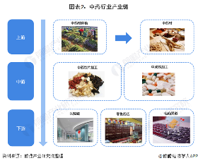 图表2：中药行业产业链