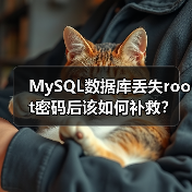 MySQL数据库丢失root密码后该如何补救? MySQL数据库丢失root密码后该如何补救?