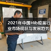 2021年中国Hib疫苗行业市场现状与发展趋势分析(图1) 2021年中国Hib疫苗行业市场现状与发展趋势分析(图1)