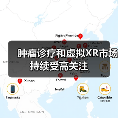 肿瘤诊疗和虚拟XR市场持续受高关注（图4）