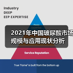 2021年中国玻尿酸市场规模与应用现状分析(图4) 2021年中国玻尿酸市场规模与应用现状分析(图4)