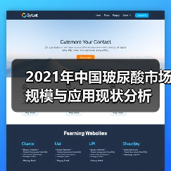 2021年中国玻尿酸市场规模与应用现状分析(图2) 2021年中国玻尿酸市场规模与应用现状分析(图2)