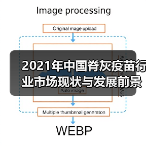 2021年中国脊灰疫苗行业市场现状与发展前景分析(图1) 2021年中国脊灰疫苗行业市场现状与发展前景分析(图1)