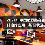 2021年中国玻尿酸在眼科治疗应用市场现状及发展前景 未来发展空间巨大（图1）