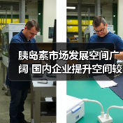 胰岛素市场发展空间广阔 国内企业提升空间较大(图4) 胰岛素市场发展空间广阔 国内企业提升空间较大(图4)