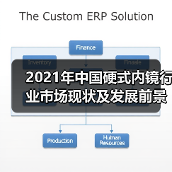 2021年中国硬式内镜行业市场现状及发展前景分析（图3）