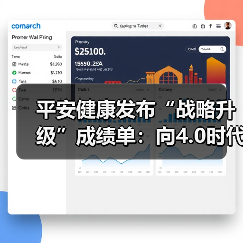 平安健康发布“战略升级”成绩单:向4.0时代迈进(图3) 平安健康发布“战略升级”成绩单:向4.0时代迈进(图3)