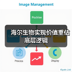 海尔生物实现价值重估底层逻辑(图3) 海尔生物实现价值重估底层逻辑(图3)