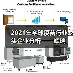 2021年全球疫苗行业龙头企业分析——辉瑞(图2) 2021年全球疫苗行业龙头企业分析——辉瑞(图2)