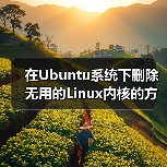 在Ubuntu系统下删除无用的Linux内核的方法（图3）