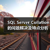 SQL Server Collation的问题解决及特点分析（图4）