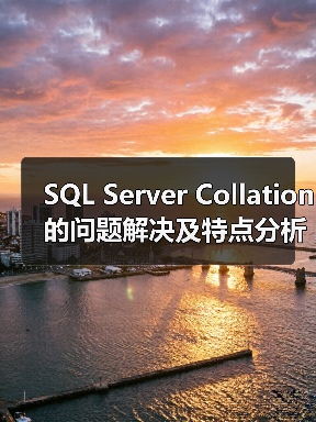 SQL Server Collation的问题解决及特点分析（图3）