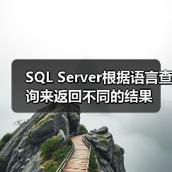 SQL Server根据语言查询来返回不同的结果(图4) SQL Server根据语言查询来返回不同的结果(图4)