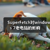 SuperFetch对windows 7老电脑的影响（图3）