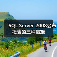 SQL Server 2008公布报表的三种措施(图3) SQL Server 2008公布报表的三种措施(图3)