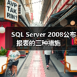 SQL Server 2008公布报表的三种措施(图4) SQL Server 2008公布报表的三种措施(图4)