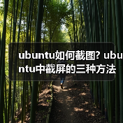 ubuntu如何截图? ubuntu中截屏的三种方法(图2) ubuntu如何截图? ubuntu中截屏的三种方法(图2)