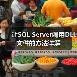 让SQL Server调用DLL文件的方法详解（图2）