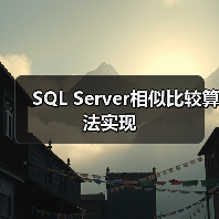 SQL Server相似比较算法实现（图2）
