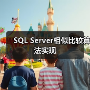 SQL Server相似比较算法实现（图1）
